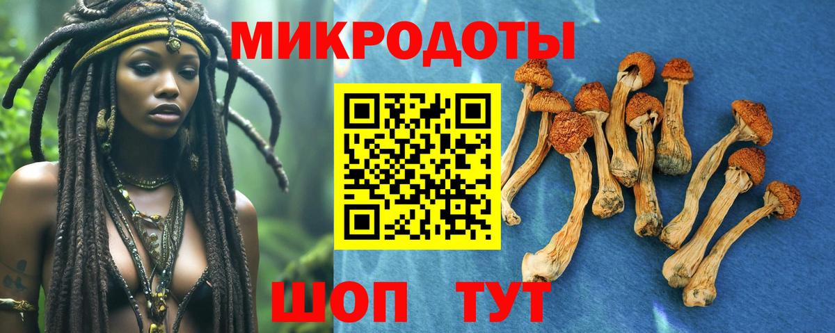 Псилоцибиновые грибы прущие грибы Менделеевск